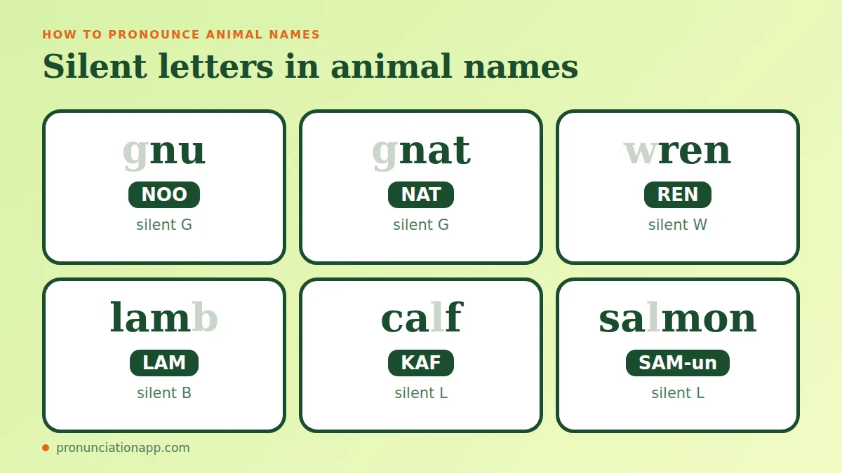 Silent letters in animal names: gnu, gnat, wren, lamb, calf and salmon with their sounds