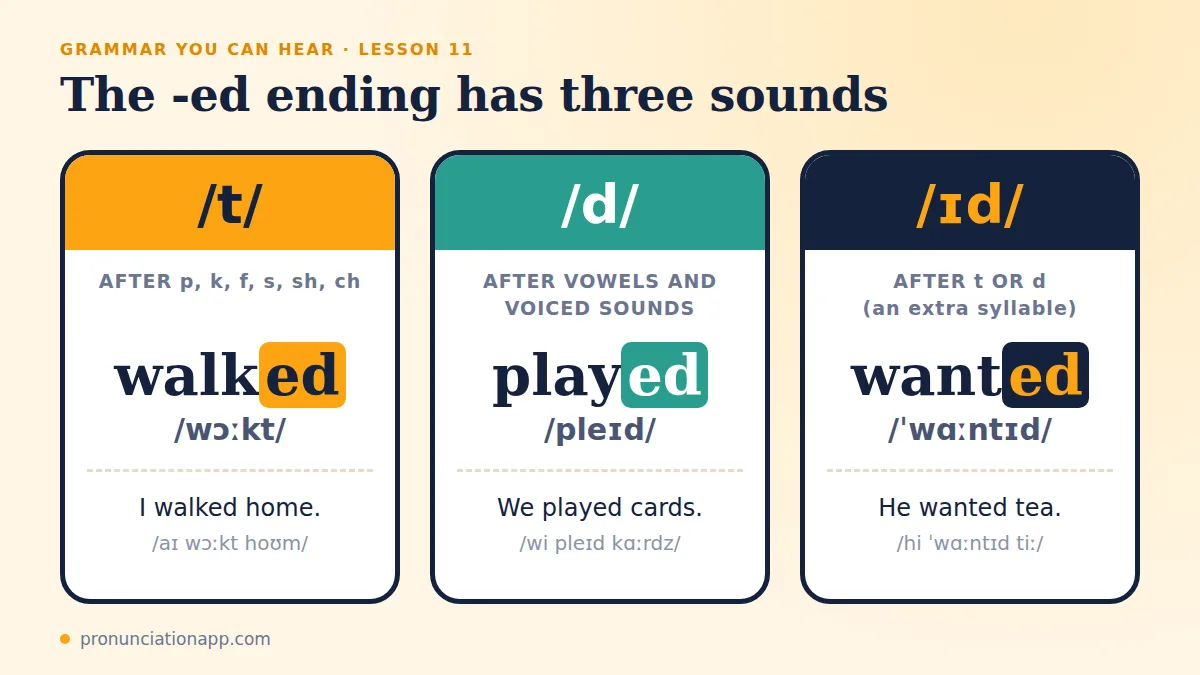 The -ed ending sounds: walked /t/, played /d/ and wanted /ɪd/ with example sentences