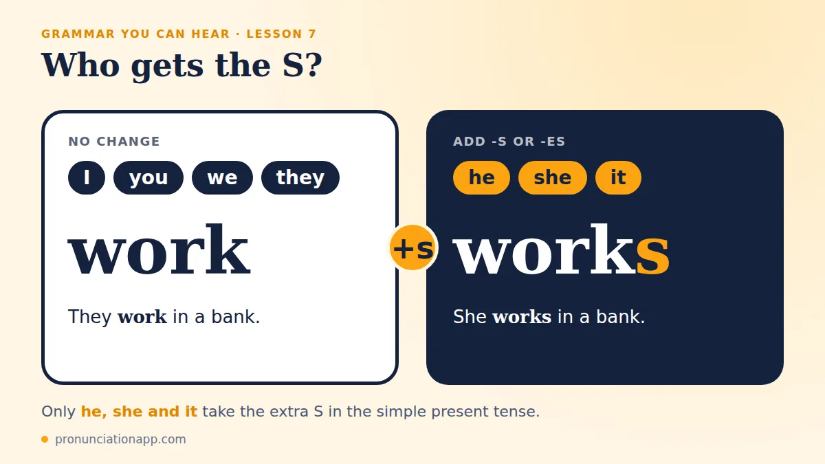 Simple present tense: I, you, we and they use work, while he, she and it use works